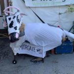 scarecow scarecrow entry